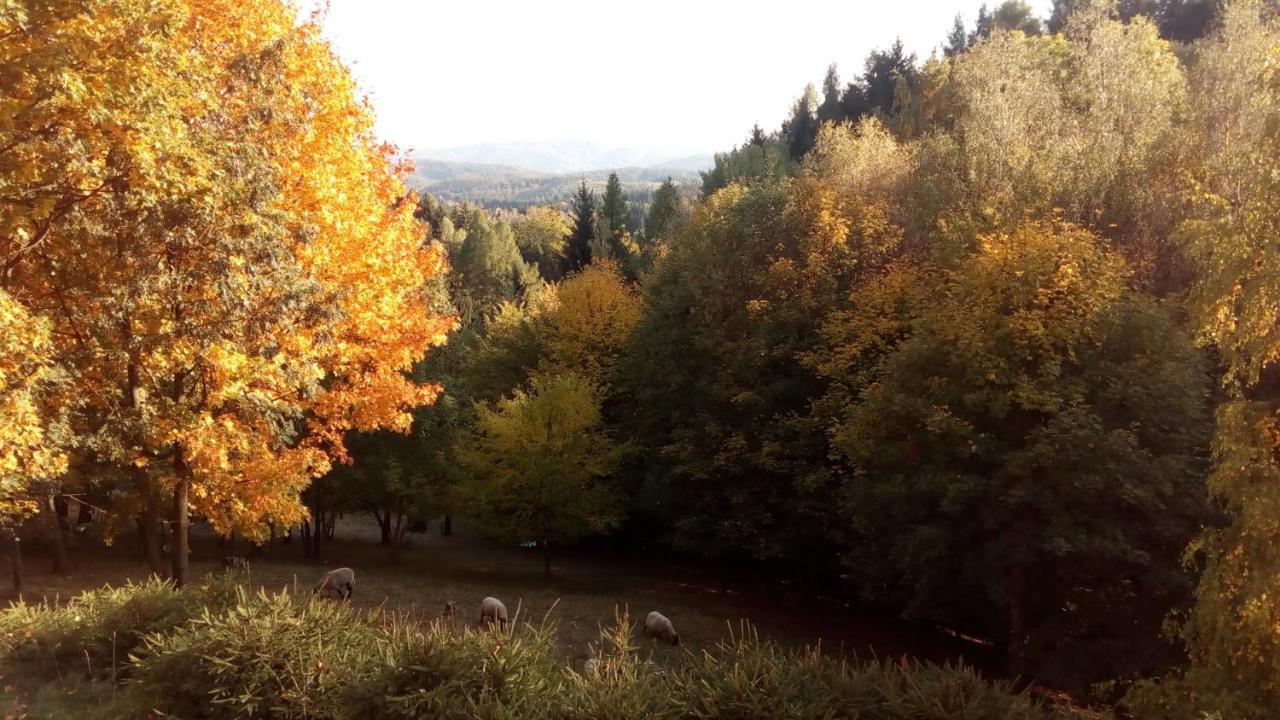 Apartmány Na Lontě Cotkytle Esterno foto
